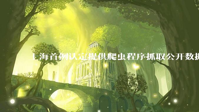 上海首例认定提供爬虫程序抓取公开数据构成提供侵入计算机信息系统程序罪案，该案件有哪些细节值得关注？